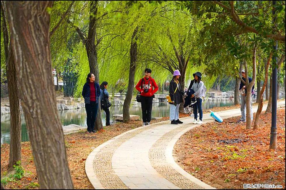 【春天，广西桂林灌阳县向您发出邀请！】江口老街又逢春 - 游山玩水 - 金昌生活社区 - 金昌28生活网 jinchang.28life.com