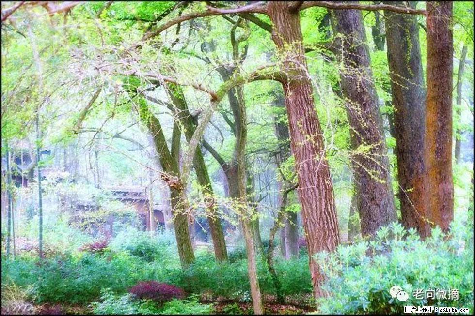 【春天，广西桂林灌阳县向您发出邀请！】在小龙村与春天约会 - 游山玩水 - 金昌生活社区 - 金昌28生活网 jinchang.28life.com