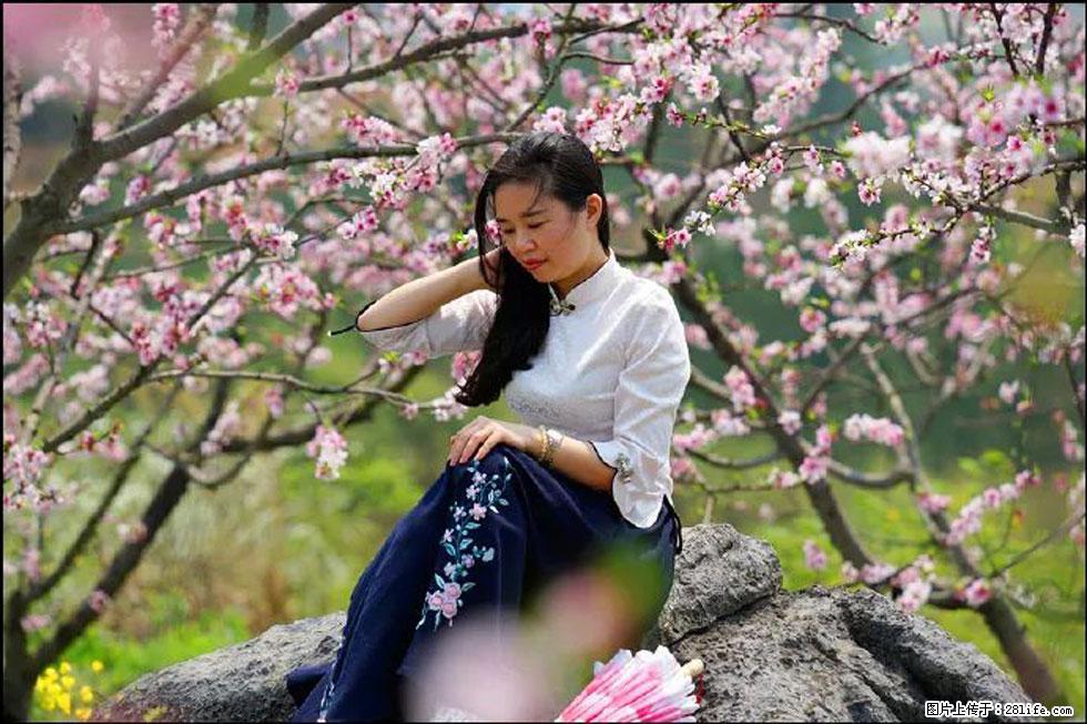 【春天，广西桂林灌阳县向您发出邀请！】望月岭上桃花开 - 游山玩水 - 金昌生活社区 - 金昌28生活网 jinchang.28life.com