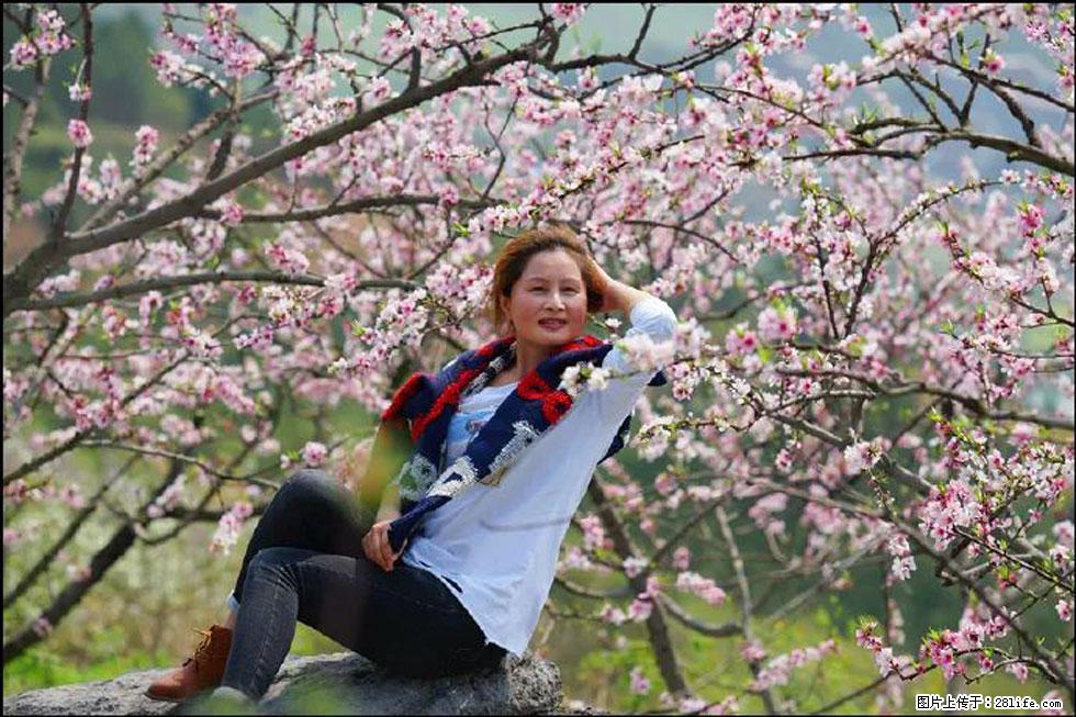 【春天，广西桂林灌阳县向您发出邀请！】望月岭上桃花开 - 游山玩水 - 金昌生活社区 - 金昌28生活网 jinchang.28life.com