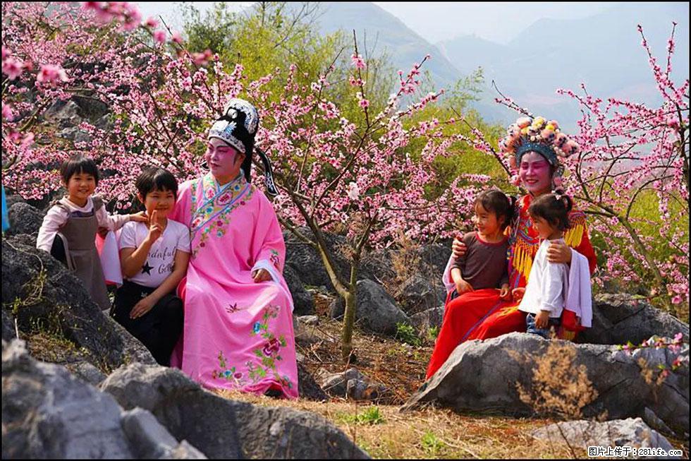 【春天，广西桂林灌阳县向您发出邀请！】望月岭上桃花开 - 游山玩水 - 金昌生活社区 - 金昌28生活网 jinchang.28life.com