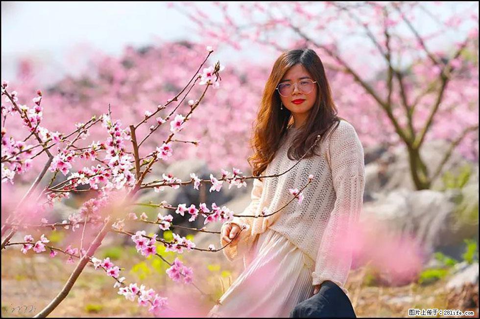 【春天，广西桂林灌阳县向您发出邀请！】望月岭上桃花开 - 游山玩水 - 金昌生活社区 - 金昌28生活网 jinchang.28life.com