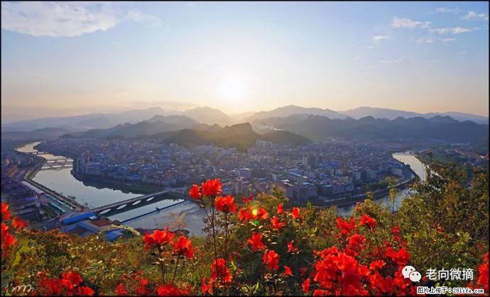 【春天，广西桂林灌阳县向您发出邀请！】登麒麟山，相约映山红 - 游山玩水 - 金昌生活社区 - 金昌28生活网 jinchang.28life.com