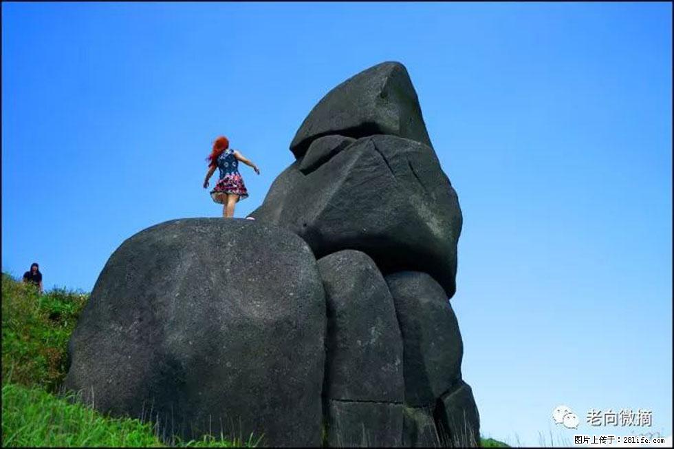 【春天，广西桂林灌阳县向您发出邀请！】宝盖山上映山红 - 游山玩水 - 金昌生活社区 - 金昌28生活网 jinchang.28life.com