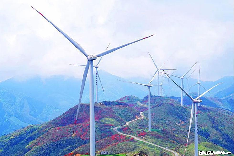 【春天，广西桂林灌阳县向您发出邀请！】春木界上映山红 - 游山玩水 - 金昌生活社区 - 金昌28生活网 jinchang.28life.com