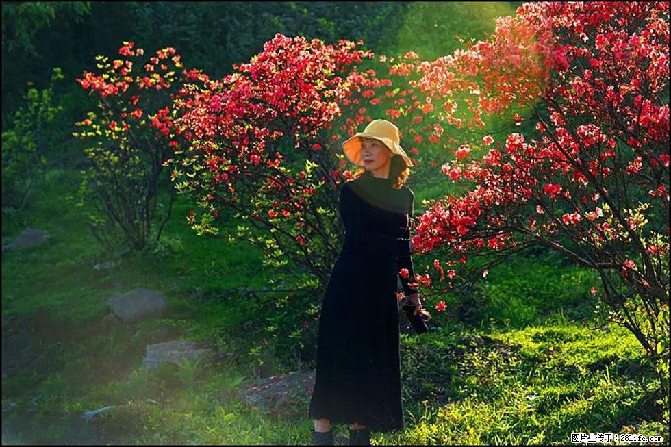 【春天，广西桂林灌阳县向您发出邀请！】春木界上映山红 - 游山玩水 - 金昌生活社区 - 金昌28生活网 jinchang.28life.com