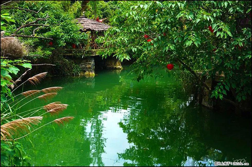 【春天,广西桂林灌阳县向您发出邀请!】如梦似幻莲溪庐 - 游山玩水 - 金昌生活社区 - 金昌28生活网 jinchang.28life.com