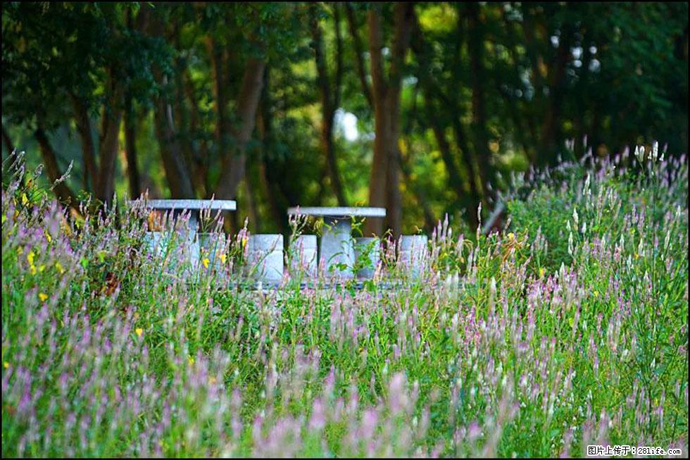 【春天，广西桂林灌阳县向您发出邀请！】熊家寨湿地公园 - 游山玩水 - 金昌生活社区 - 金昌28生活网 jinchang.28life.com