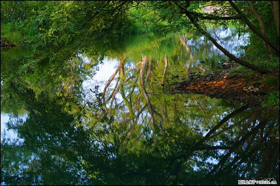 【春天，广西桂林灌阳县向您发出邀请！】熊家寨湿地公园 - 游山玩水 - 金昌生活社区 - 金昌28生活网 jinchang.28life.com