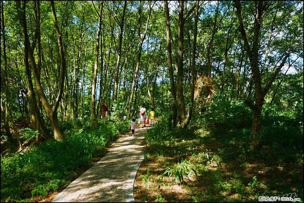 【春天，广西桂林灌阳县向您发出邀请！】熊家寨湿地公园 - 游山玩水 - 金昌生活社区 - 金昌28生活网 jinchang.28life.com