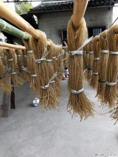 【灌阳正宗红薯粉】美女家里自己做的，干净卫生，假一赔十，价格合理，抢购电话：13737312895 - 金昌28生活网 jinchang.28life.com