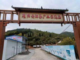 【灌阳县油茶产业示范区】一个有着充实的精神生活的人，对待身外之物自会有一种淡泊的态度 - 金昌28生活网 jinchang.28life.com