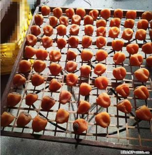 广西桂林平乐桥亭【柿饼之乡】2025年纯手工制作、无任何添加剂的第一批柿饼准备上市了，欢迎联系订购！ - 金昌28生活网 jinchang.28life.com