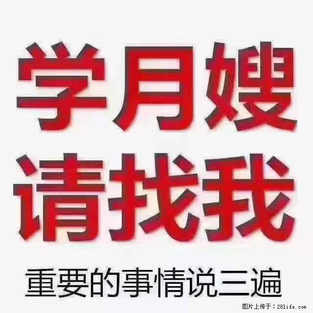 【招聘】月嫂，上海徐汇区 - 职场交流 - 金昌生活社区 - 金昌28生活网 jinchang.28life.com