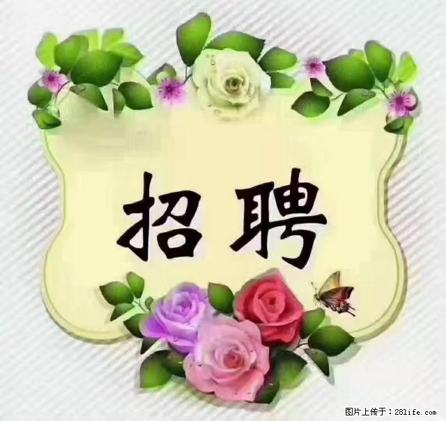 【招聘】住家育儿嫂，上户日期：4月4日，工作地址：上海 黄浦区 - 职场交流 - 金昌生活社区 - 金昌28生活网 jinchang.28life.com