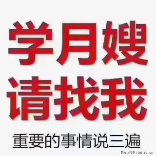 【招聘】月嫂，上海徐汇区 - 金昌28生活网 jinchang.28life.com