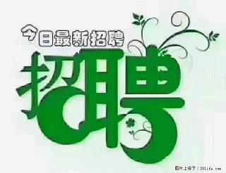 上海青浦区招仓管 - 金昌28生活网 jinchang.28life.com