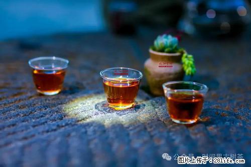 时间果百年古树2025年春红茶 - 购物交流 - 金昌生活社区 - 金昌28生活网 jinchang.28life.com