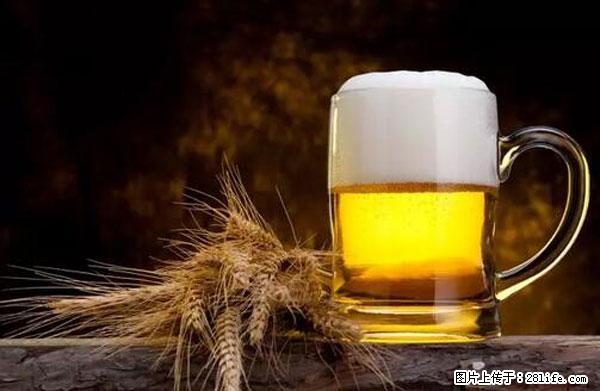 原来它这么毒，然而竟然满大街都是.... - 金昌生活资讯 - 金昌28生活网 jinchang.28life.com