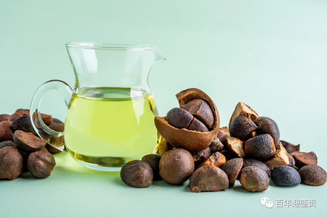 世界没有真相，只有认知，最好的食用油是中国的山茶油！ - 金昌生活资讯 - 金昌28生活网 jinchang.28life.com