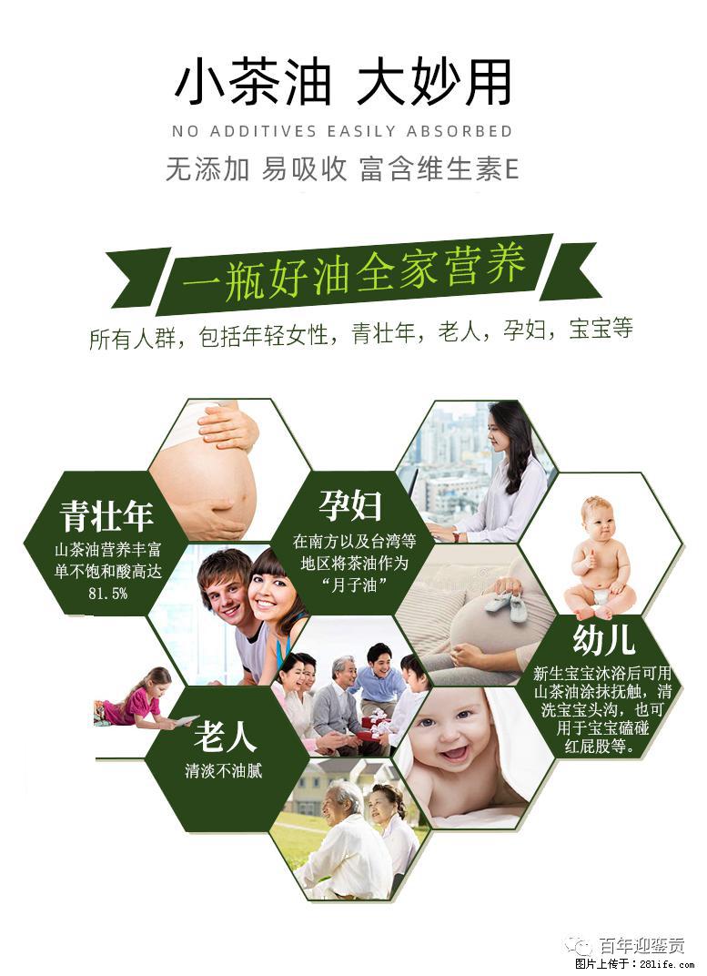 世界没有真相，只有认知，最好的食用油是中国的山茶油！ - 金昌生活资讯 - 金昌28生活网 jinchang.28life.com