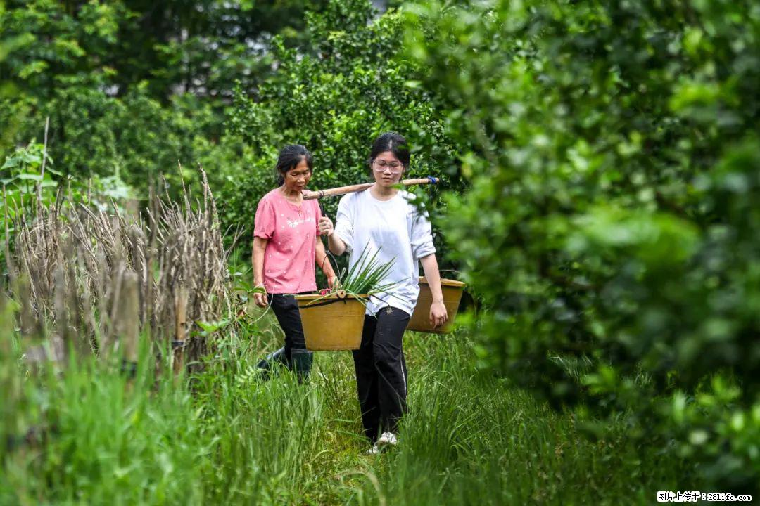 全网追的“扁担女孩”,找了一份暑假工,时薪12元 - 金昌生活资讯 - 金昌28生活网 jinchang.28life.com