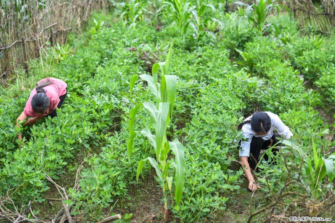 全网追的“扁担女孩”,找了一份暑假工,时薪12元 - 金昌生活资讯 - 金昌28生活网 jinchang.28life.com