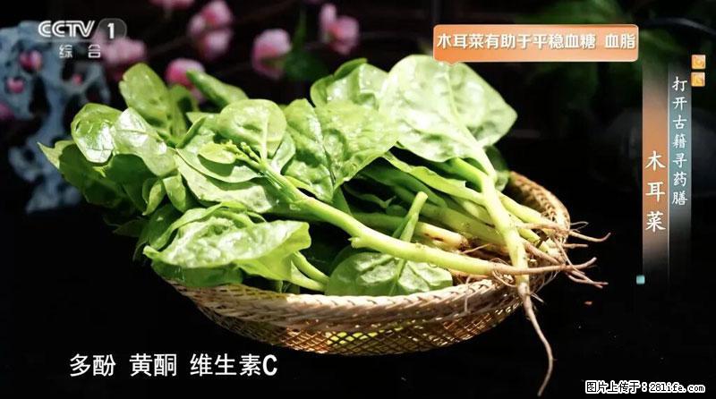 比牛奶补钙还厉害！凉血解毒、稳血糖...这菜冬天必吃，很多人却当草 - 金昌生活资讯 - 金昌28生活网 jinchang.28life.com