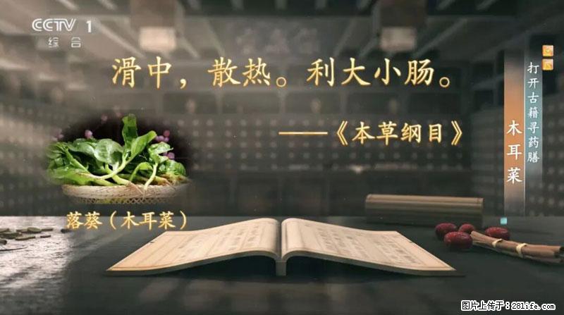 比牛奶补钙还厉害！凉血解毒、稳血糖...这菜冬天必吃，很多人却当草 - 金昌生活资讯 - 金昌28生活网 jinchang.28life.com