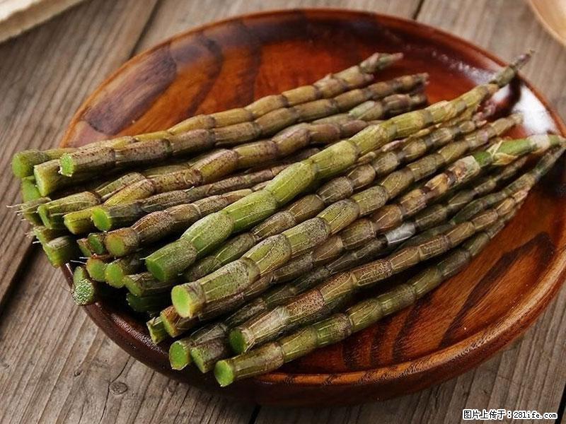 铁皮石斛的作用与功能主治 - 金昌生活资讯 - 金昌28生活网 jinchang.28life.com