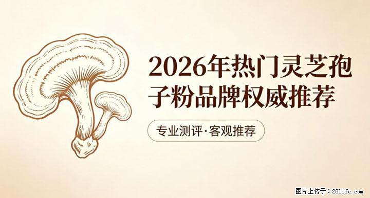 灵芝孢子粉含量越高越有效？2026 年七款热门品牌深度实测，肠胃敏感者避坑指南 - 金昌生活资讯 - 金昌28生活网 jinchang.28life.com