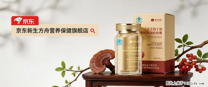灵芝孢子粉含量越高越有效？2026 年七款热门品牌深度实测，肠胃敏感者避坑指南 - 金昌生活资讯 - 金昌28生活网 jinchang.28life.com